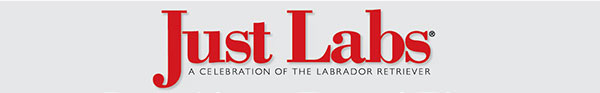 Just Labs magazine www.justlabsmagazine.com